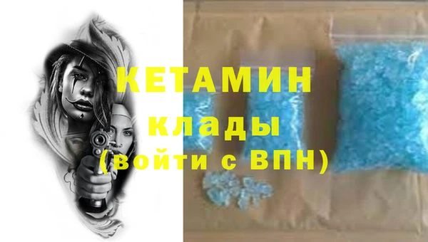 шишки Щучье