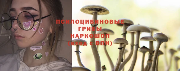 винт Гусиноозёрск