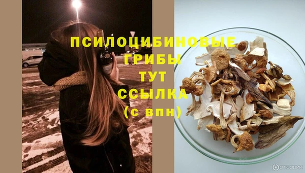 винт Гусиноозёрск