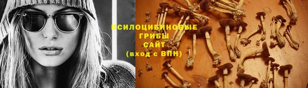 винт Гусиноозёрск